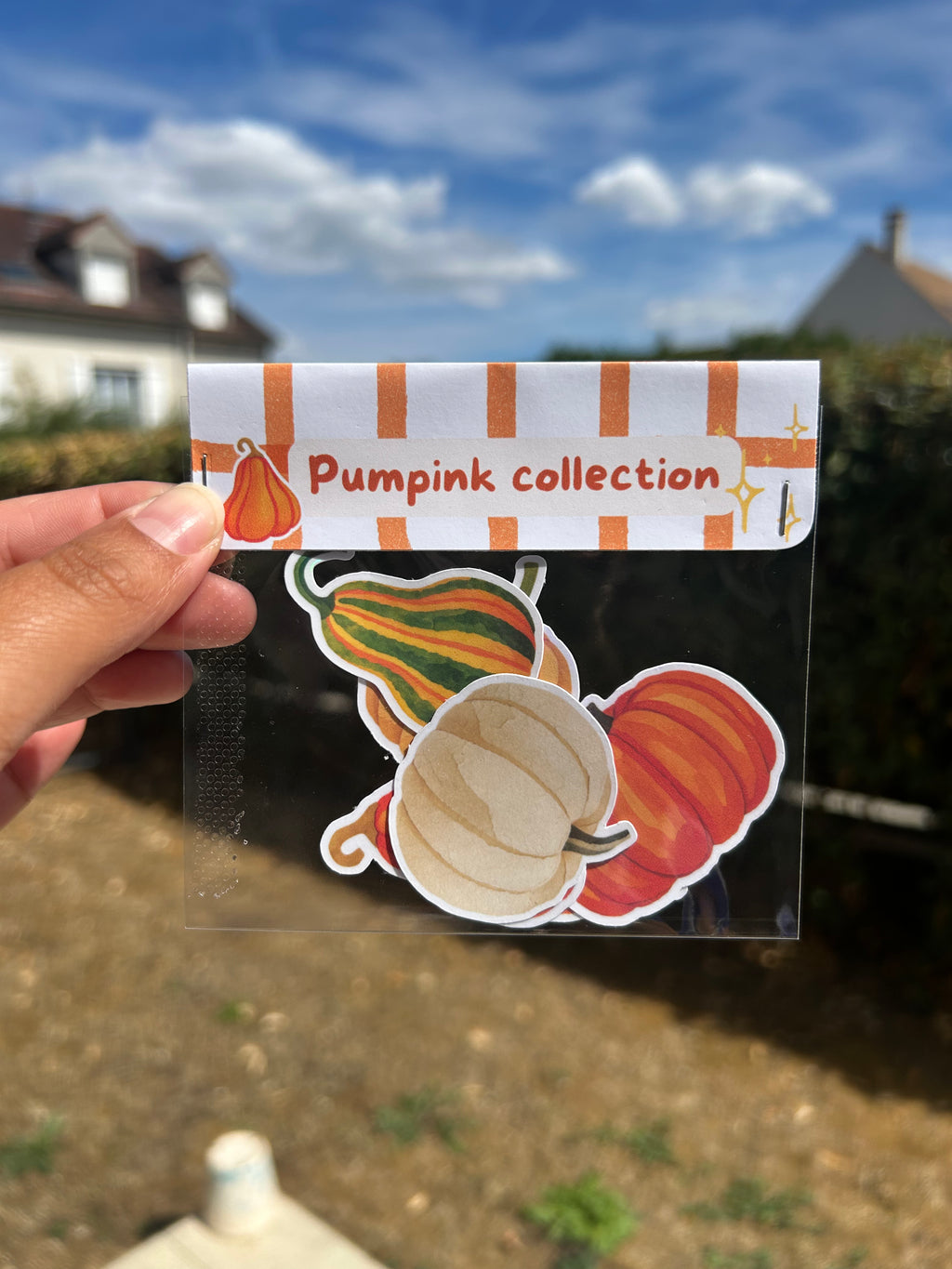 Sticker Pack - Pumpkins Collection ✨